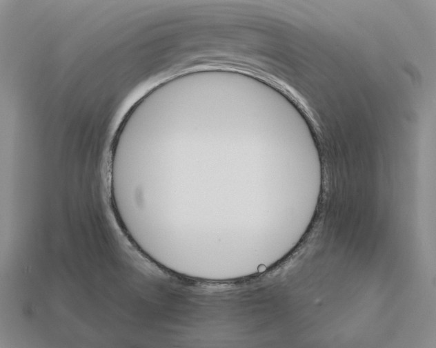 X0000112431522200909111020