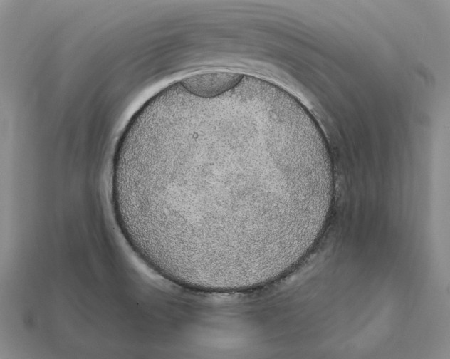 X0000112431523200909111020