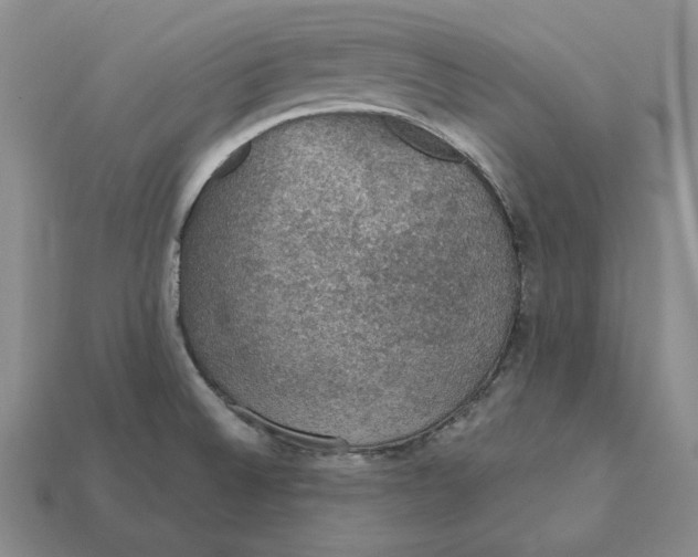 X0000112431524200909111020