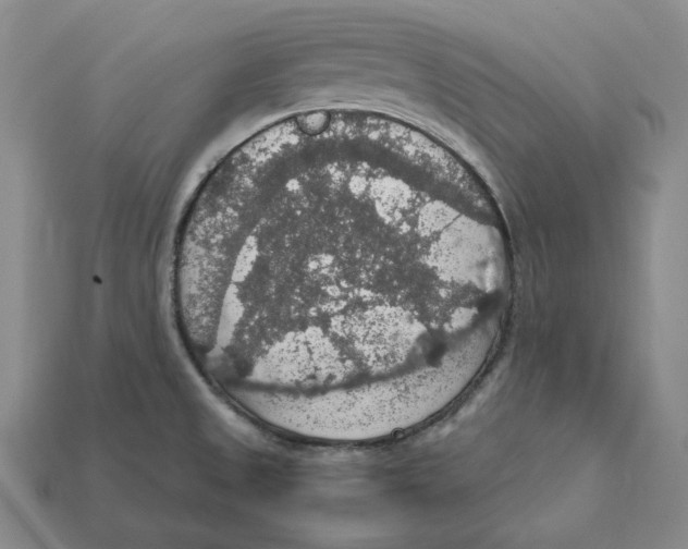 X0000112431525200909111020