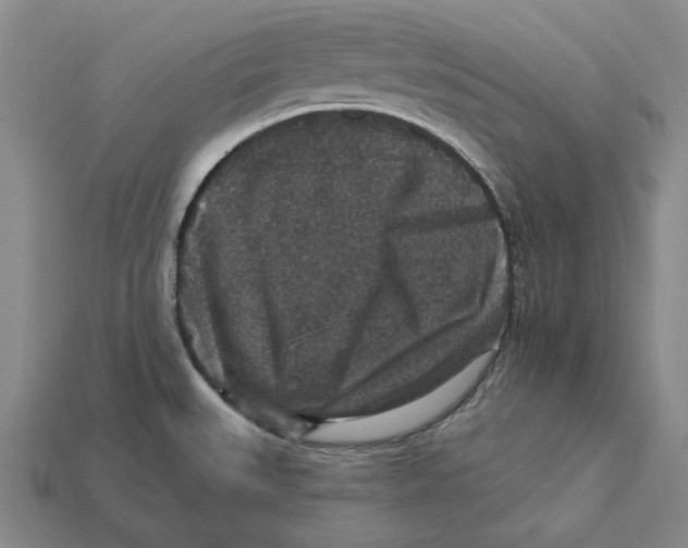 X0000112431527200909111020