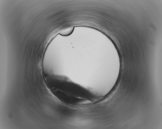 X0000112431529200909111020