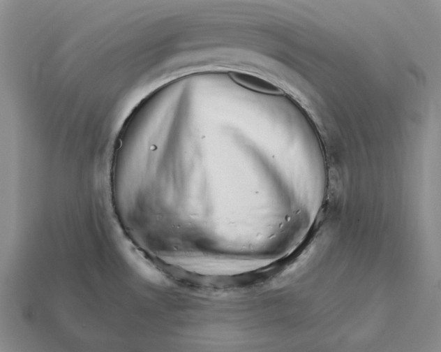 X0000112431530200909111020