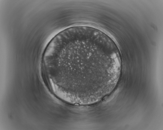 X0000112431533200909111020