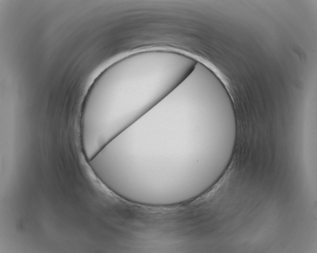 X0000112431534200909111020