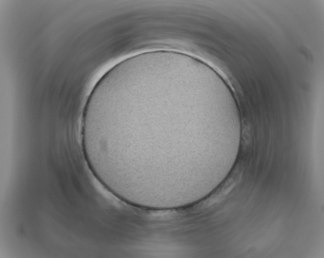 X0000112431535200909111020