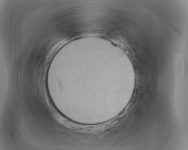 X0000112430001200909251546
