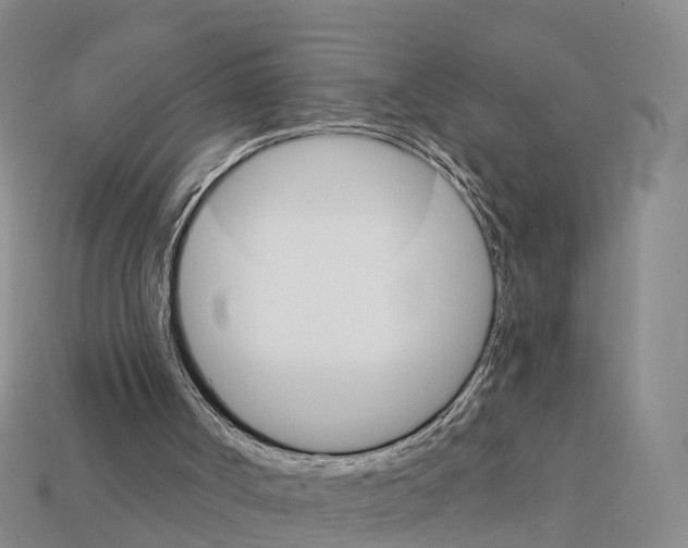 X0000112430002200909251546