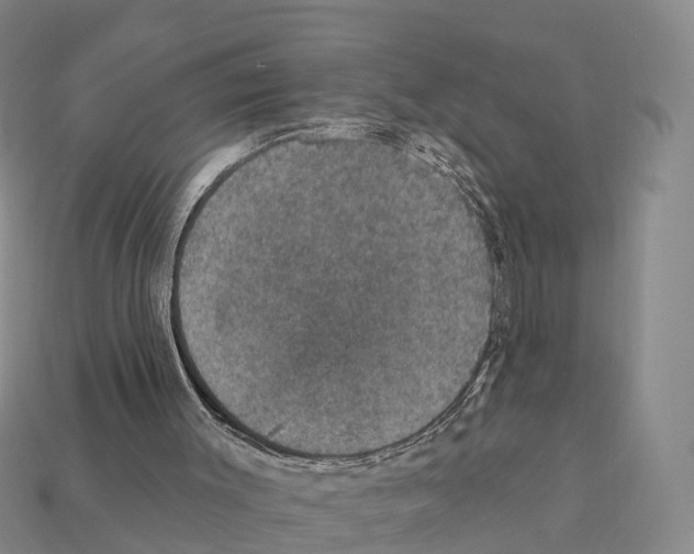 X0000112430003200909251546