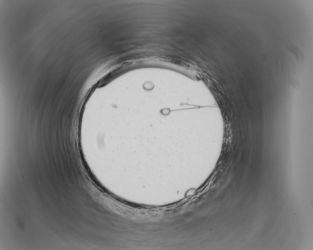 X0000112430004200909251546