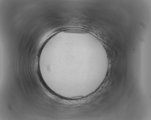 X0000112430005200909251546