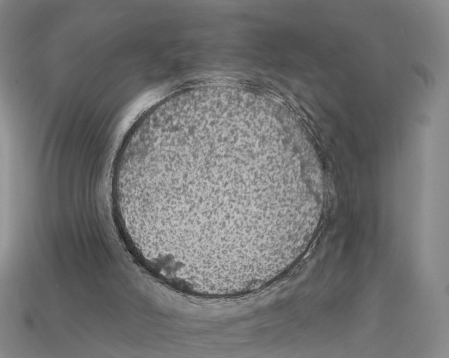 X0000112430006200909251546