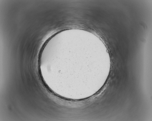 X0000112430008200909251546