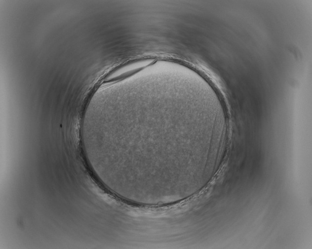 X0000112430009200909251546
