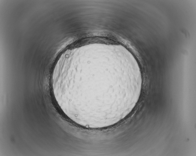 X0000112430010200909251546