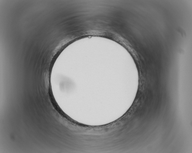 X0000112430011200909251546