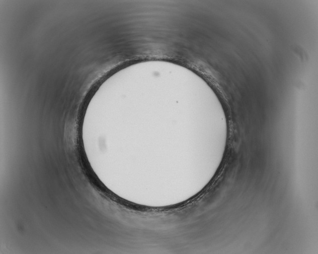 X0000112430012200909251546