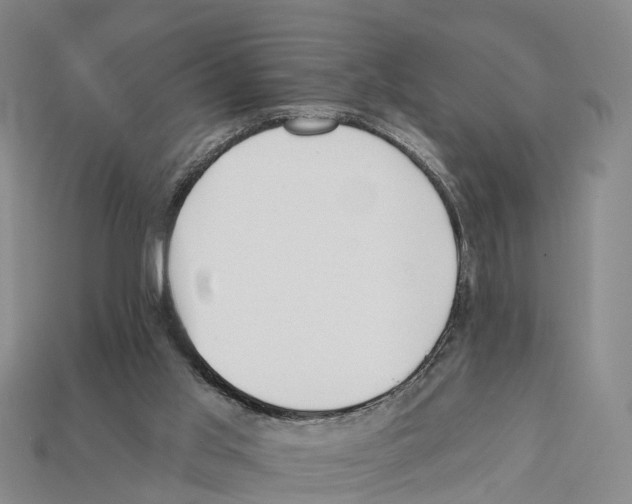 X0000112430013200909251546