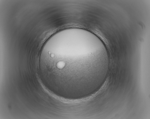 X0000112430014200909251546