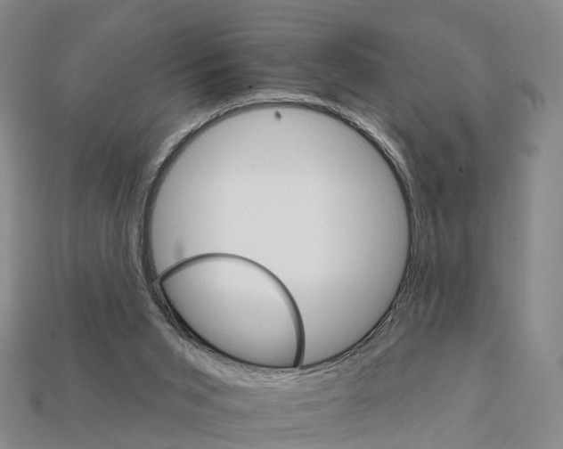 X0000112430015200909251546