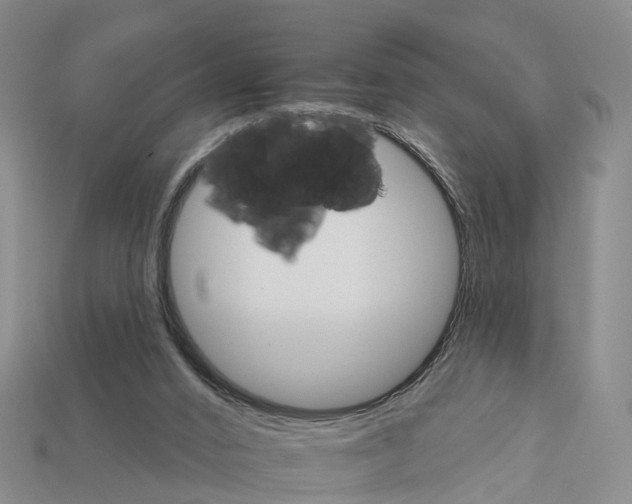 X0000112430016200909251546