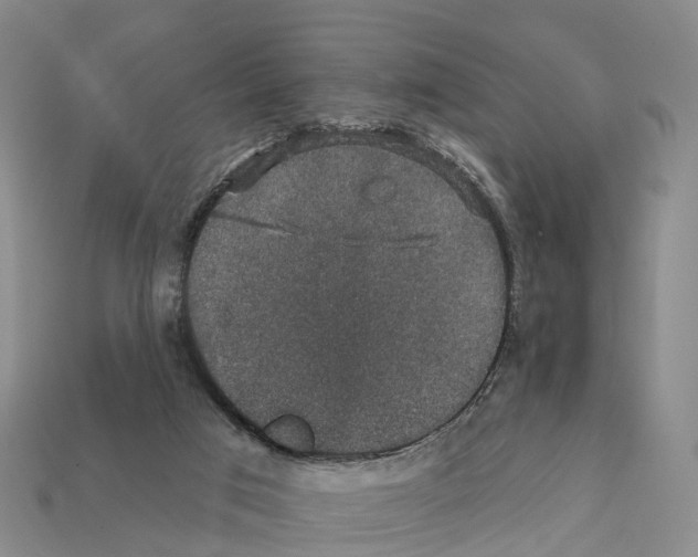 X0000112430017200909251546