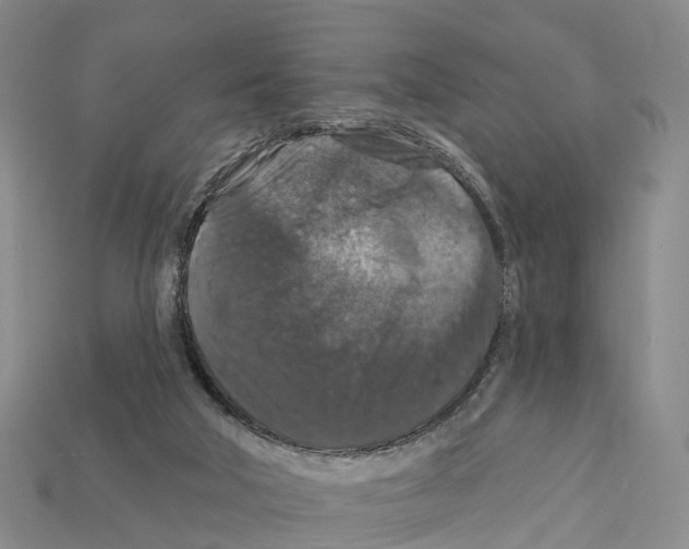 X0000112430018200909251546