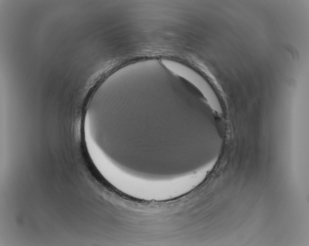 X0000112430019200909251546
