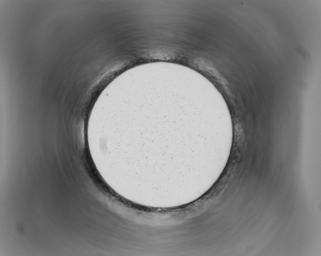 X0000112430020200909251546