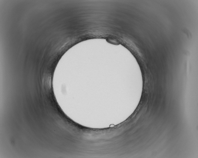 X0000112430021200909251546