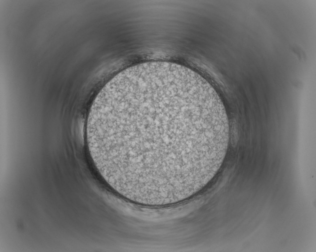 X0000112430022200909251546
