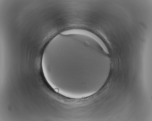 X0000112430023200909251546