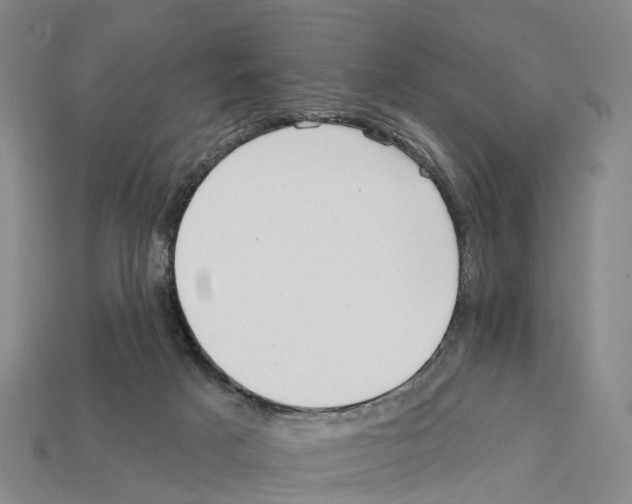 X0000112430025200909251546