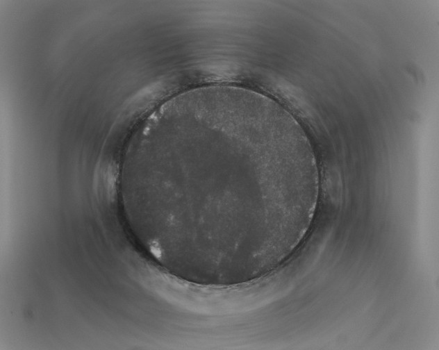 X0000112430026200909251546