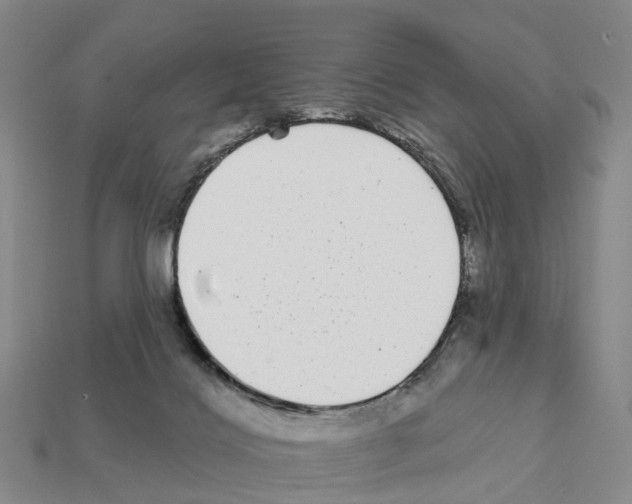 X0000112430028200909251546