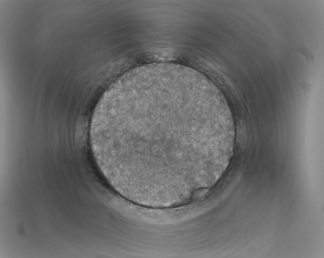 X0000112430030200909251546