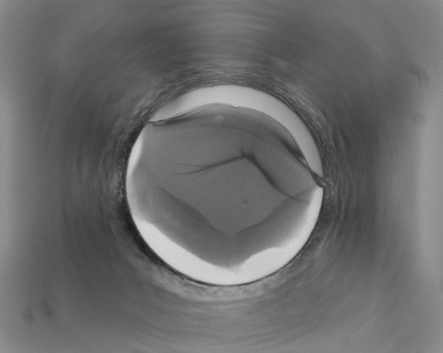 X0000112430031200909251546