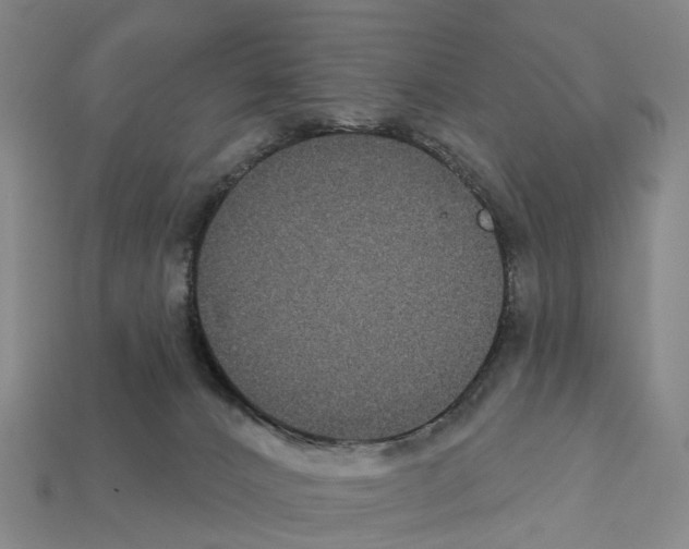 X0000112430032200909251546