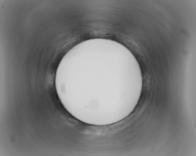 X0000112430033200909251546