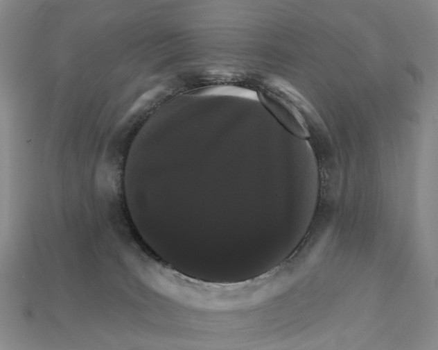X0000112430035200909251546