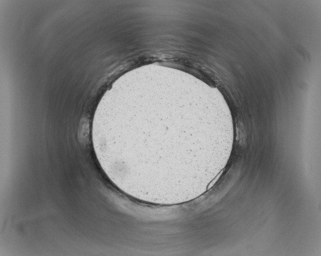 X0000112430036200909251546
