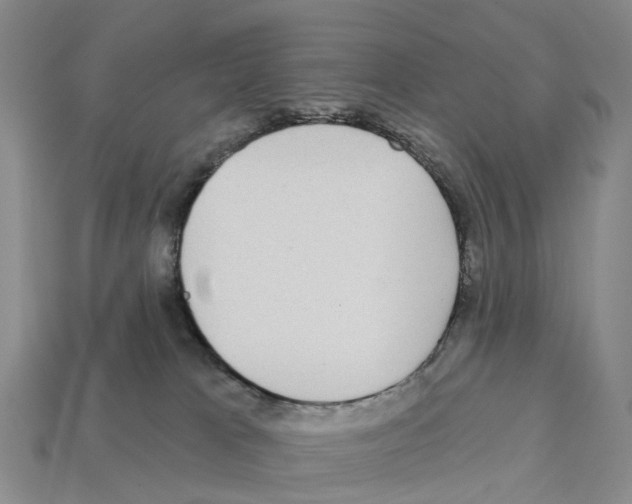 X0000112430037200909251546
