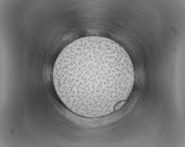 X0000112430038200909251546