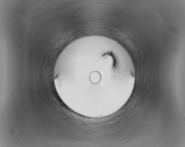 X0000112430039200909251546
