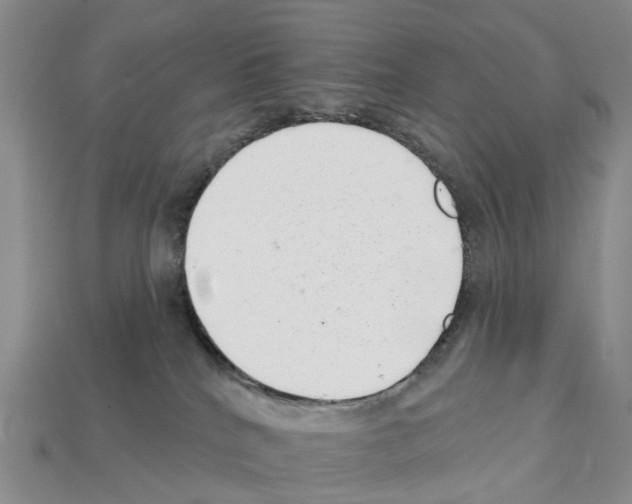 X0000112430040200909251546