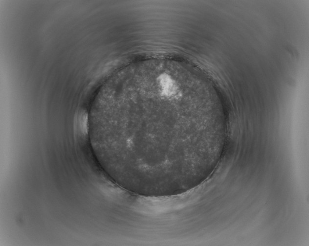 X0000112430041200909251546