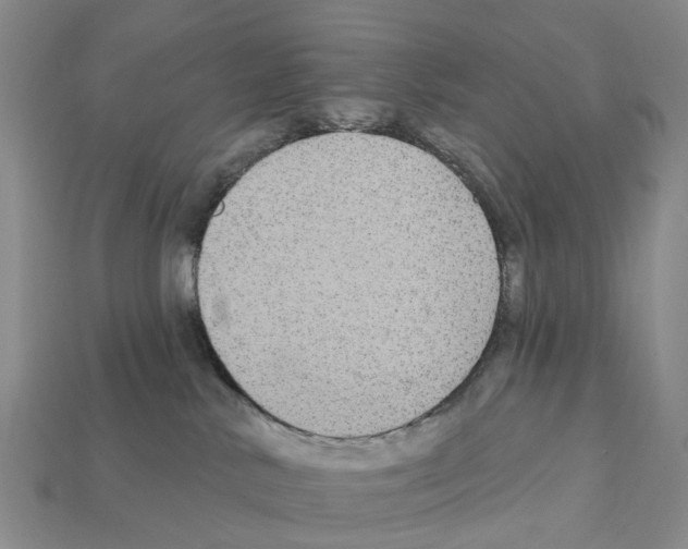 X0000112430042200909251546