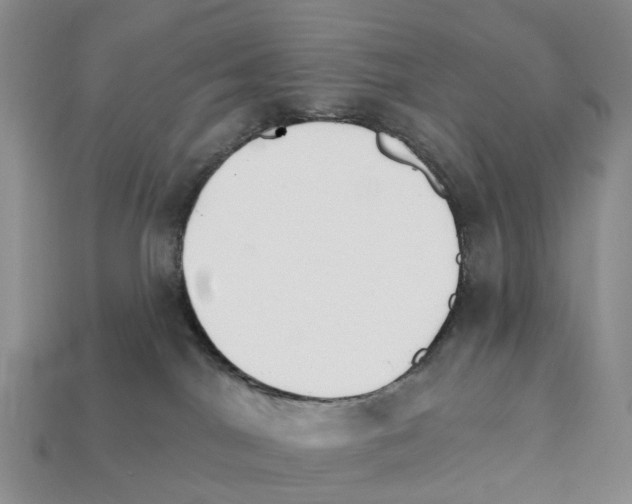 X0000112430044200909251546