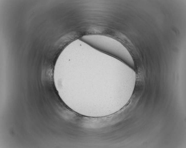 X0000112430045200909251545