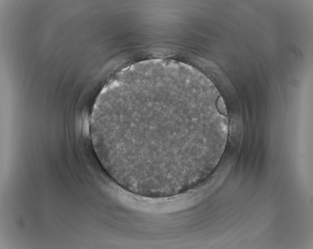 X0000112430046200909251545